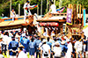 富浦祭り35